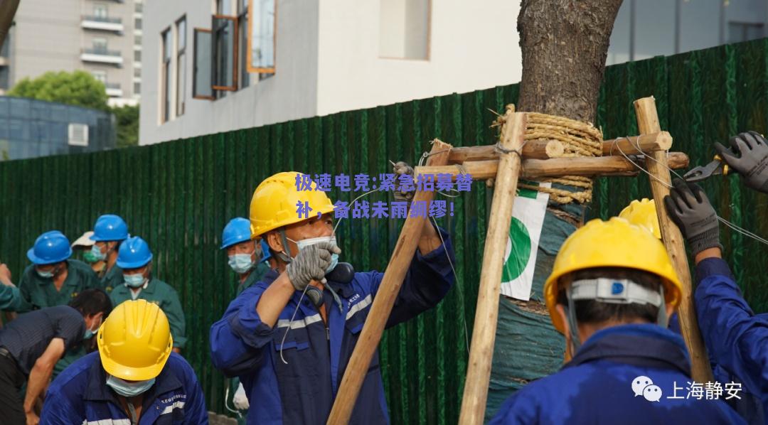 紧急招募替补，备战未雨绸缪！